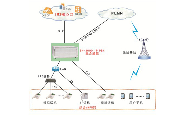 中大型企業(yè)綜合VPMN方案